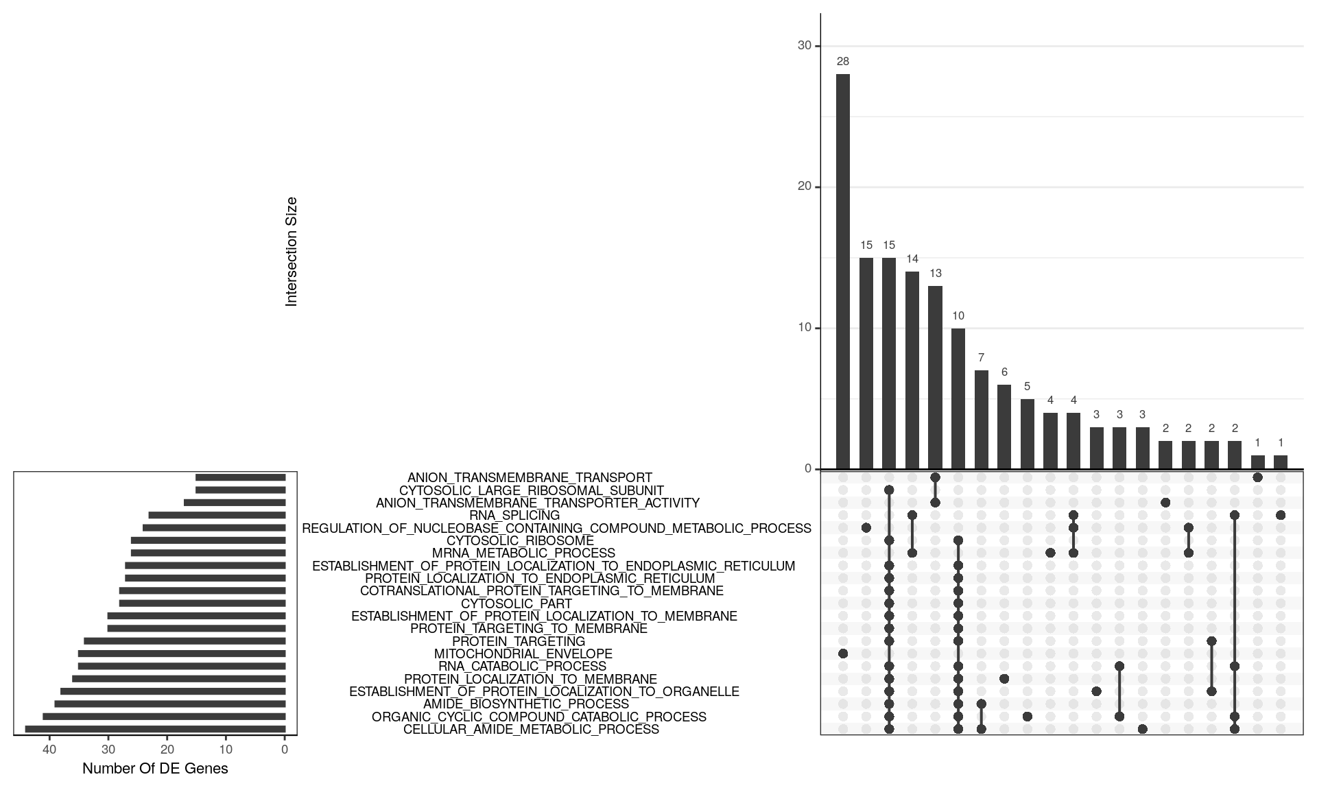 *UpSet plot indicating distribution of DE genes within significantly enriched terms from the GO gene sets. For this visualisation, GO terms were restricted to those with 15 or more DE genes, where this represented more than 5% of a gene set as being DE, along with an FDR < 0.02 and more than 3 steps back to the ontology root. The 20 largest GO terms satisfying these criteria are shown. The plot is  truncated at the right hand side for simplicity. A group of 28 genes is uniquely attributed to the Mitochondrial Envelope, with a further 18 being relatively unique to mRNA Metabolic Process. The next grouping of 15 genes are unique to Regulation Of Nucleobase-Containing Compound Metabolic Process followed by 25 genes, spread across two clusters of terms which largely represent Ribosomal activity. In between these are 13 genes uniquely associated with Anion Transport.*