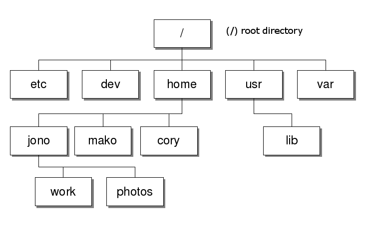 Typical file system hierarchy