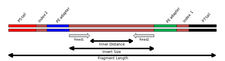 Sequencing Template