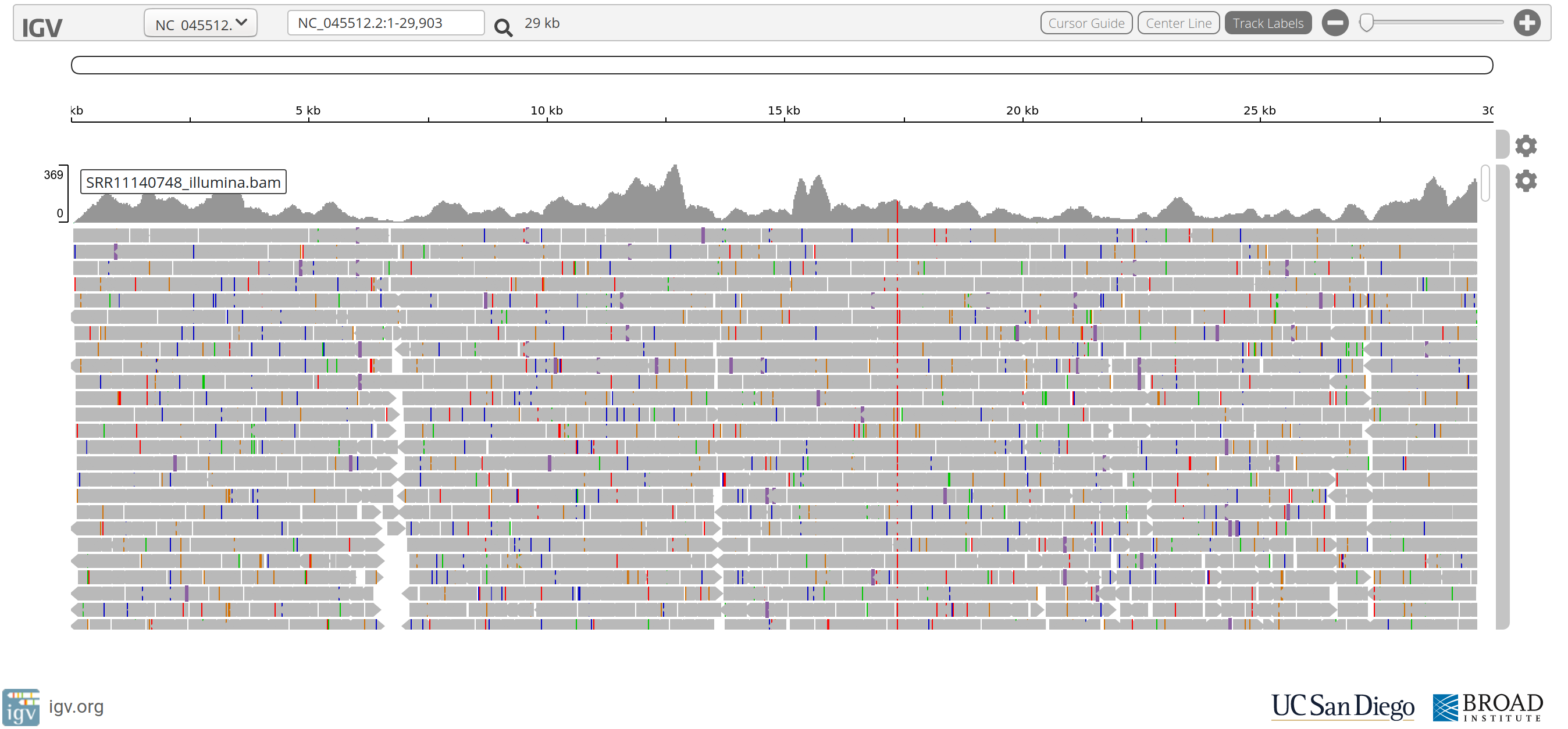 IGV-web SRR11140748 Illumina