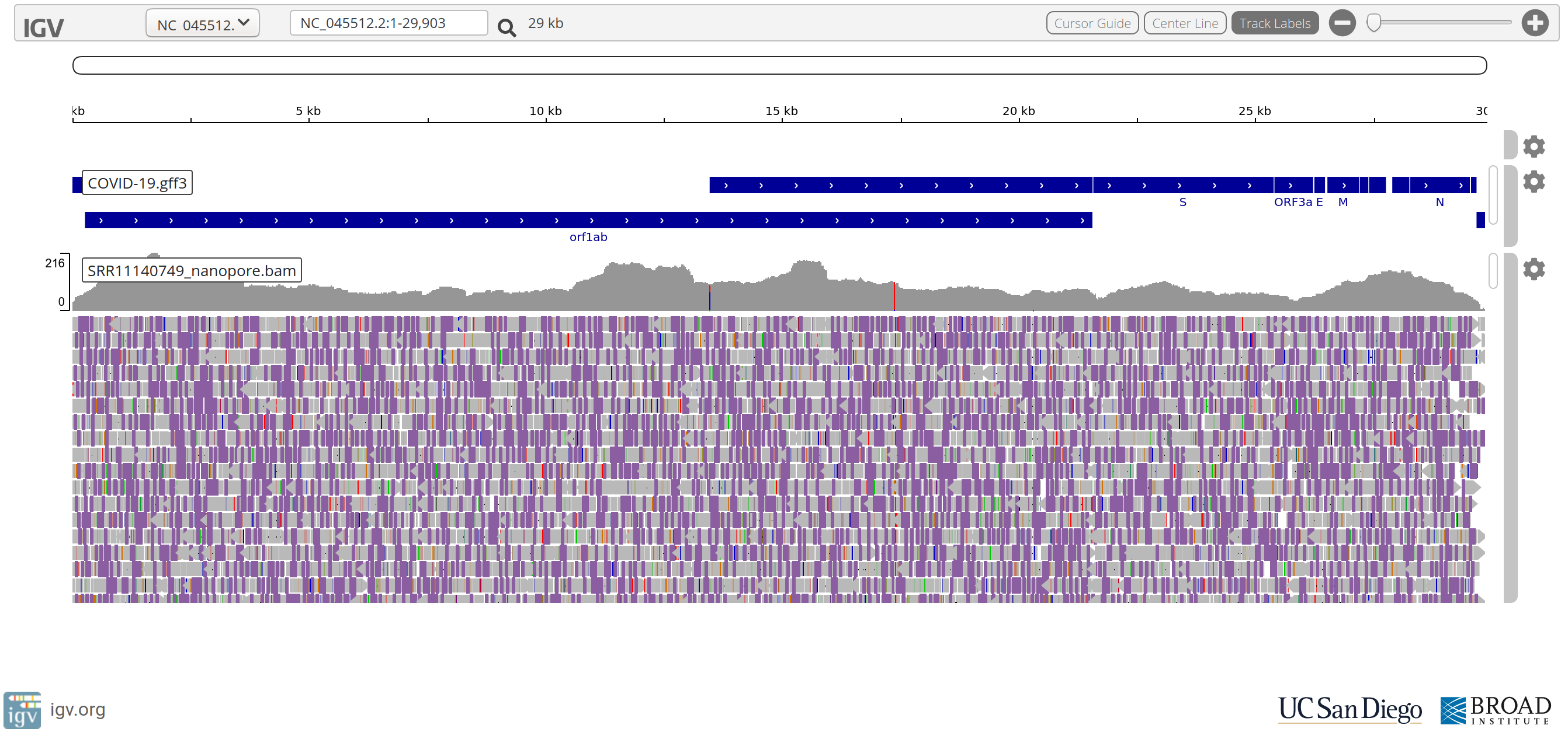 IGV-web SRR11140749 Nanopore